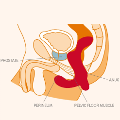 Fun Factory Stimulateur Prostatique Vibrant Duke - Petrol -Lingerie Soldes capture d e cran 2020 06 11 a 14.51.50