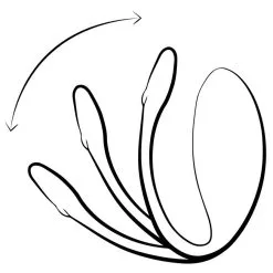 We-Vibe Oeuf Vibrant Télécommandé Jive - Rose -Lingerie Soldes wvi jive illustration black rgb 01